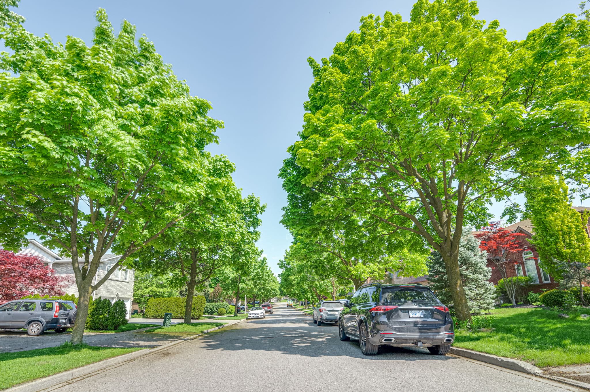 28 Dunvegan Dr Richmond Hill, ON L4C 6K1