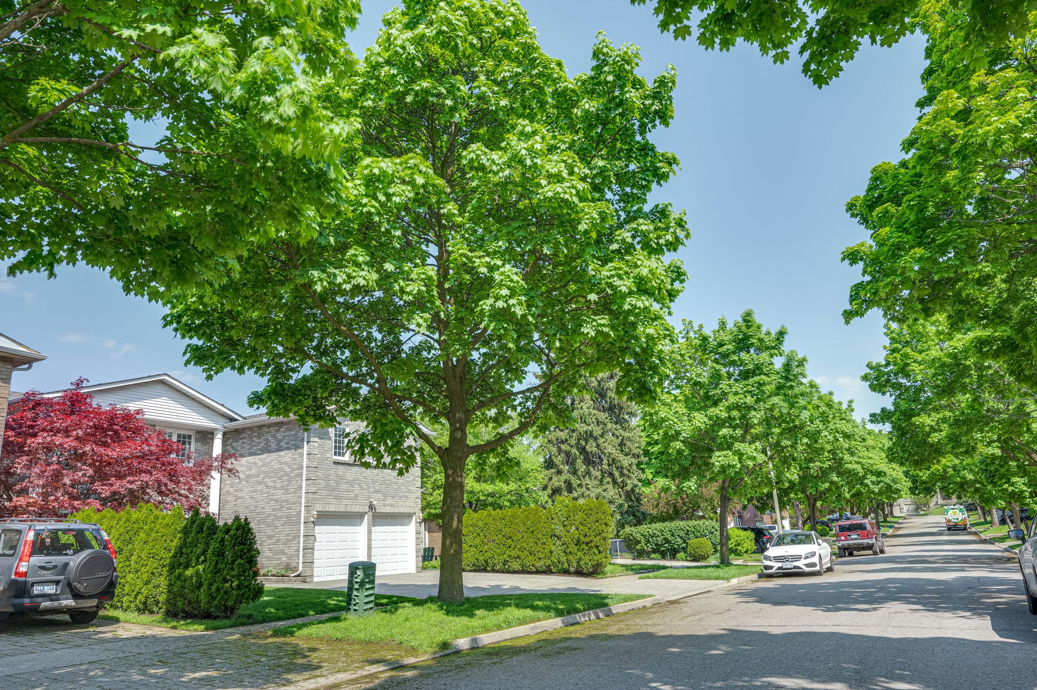 28 Dunvegan Dr Richmond Hill, ON L4C 6K1