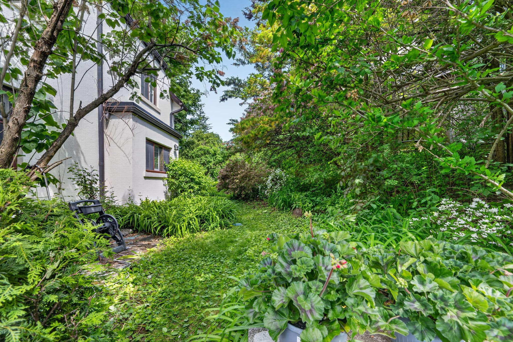 29 Strathgowan Crescent Toronto, ON M4N 2Z6