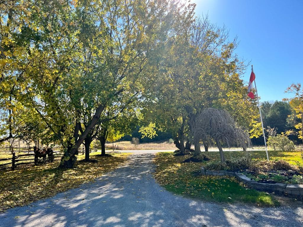 3941 Mountjoy Rd Blackstock, ON L0B 1B0