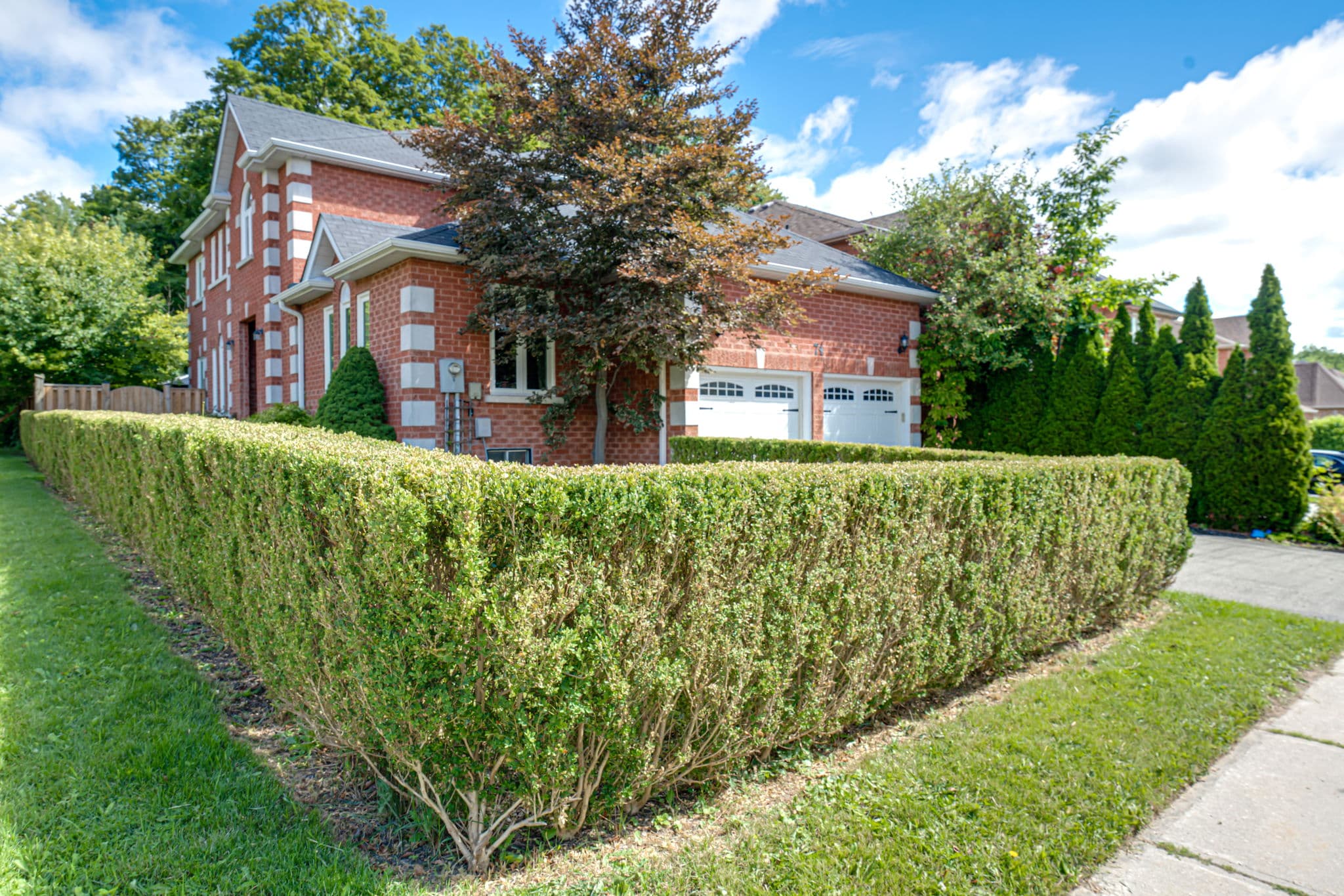 74 Cedar Springs Dr Richmond Hill, ON L4S 2B3